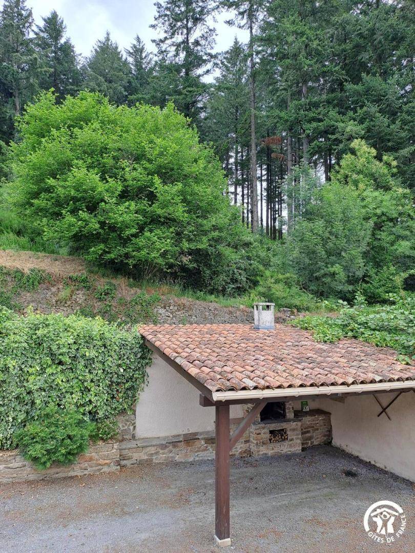 foto22