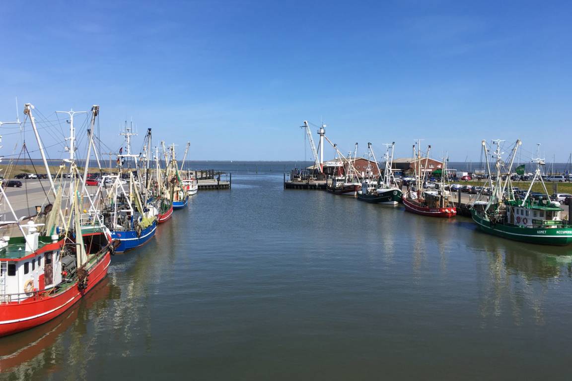 foto19