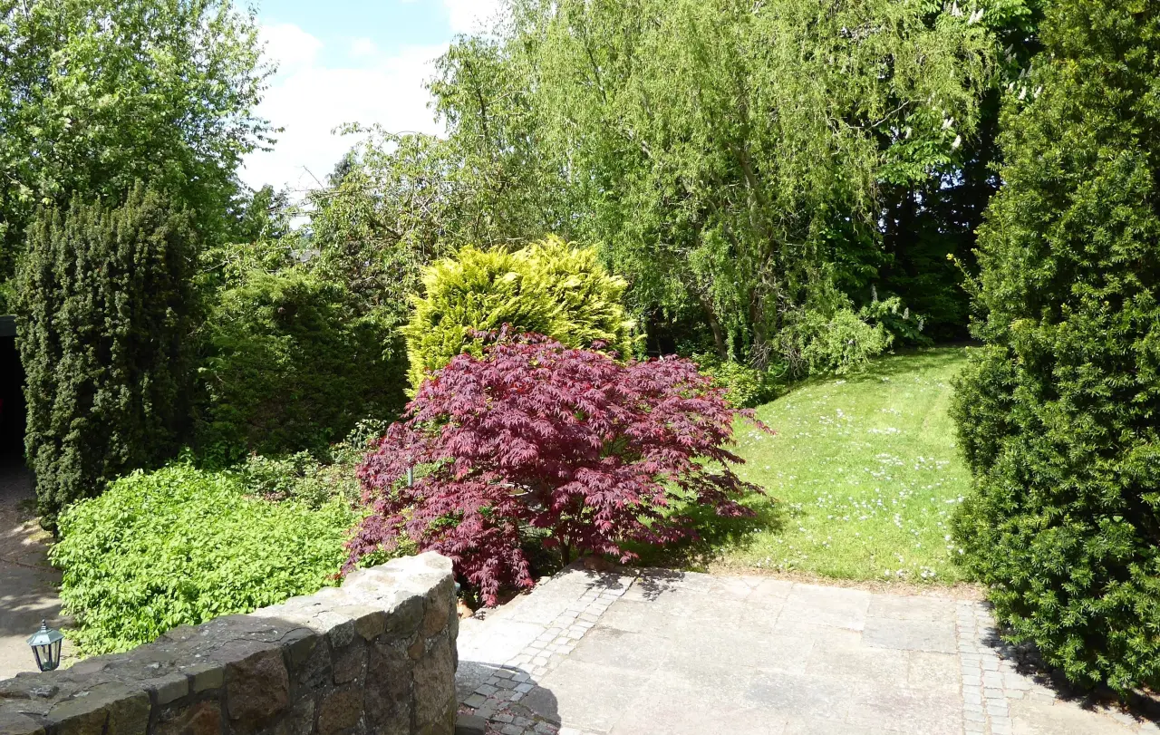 foto13