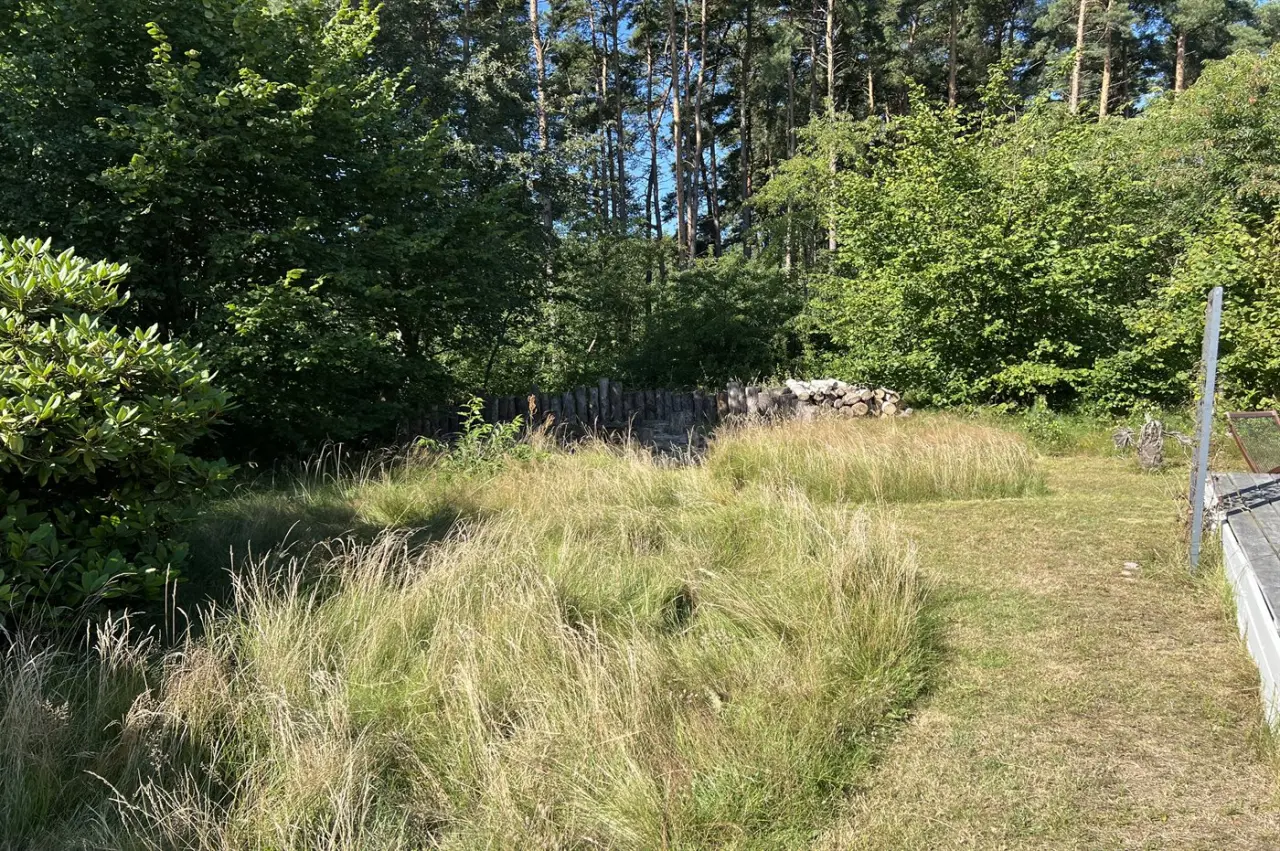 foto22