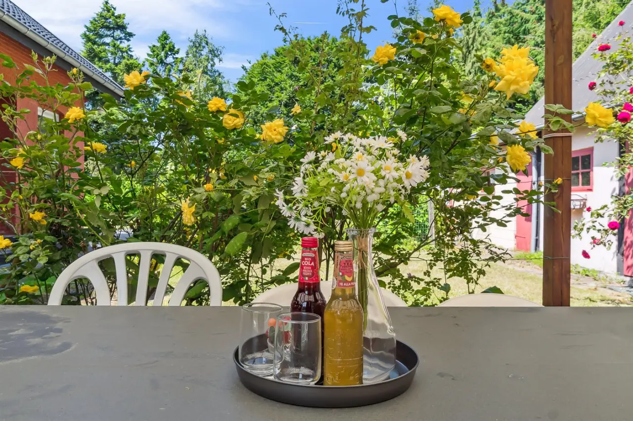foto20