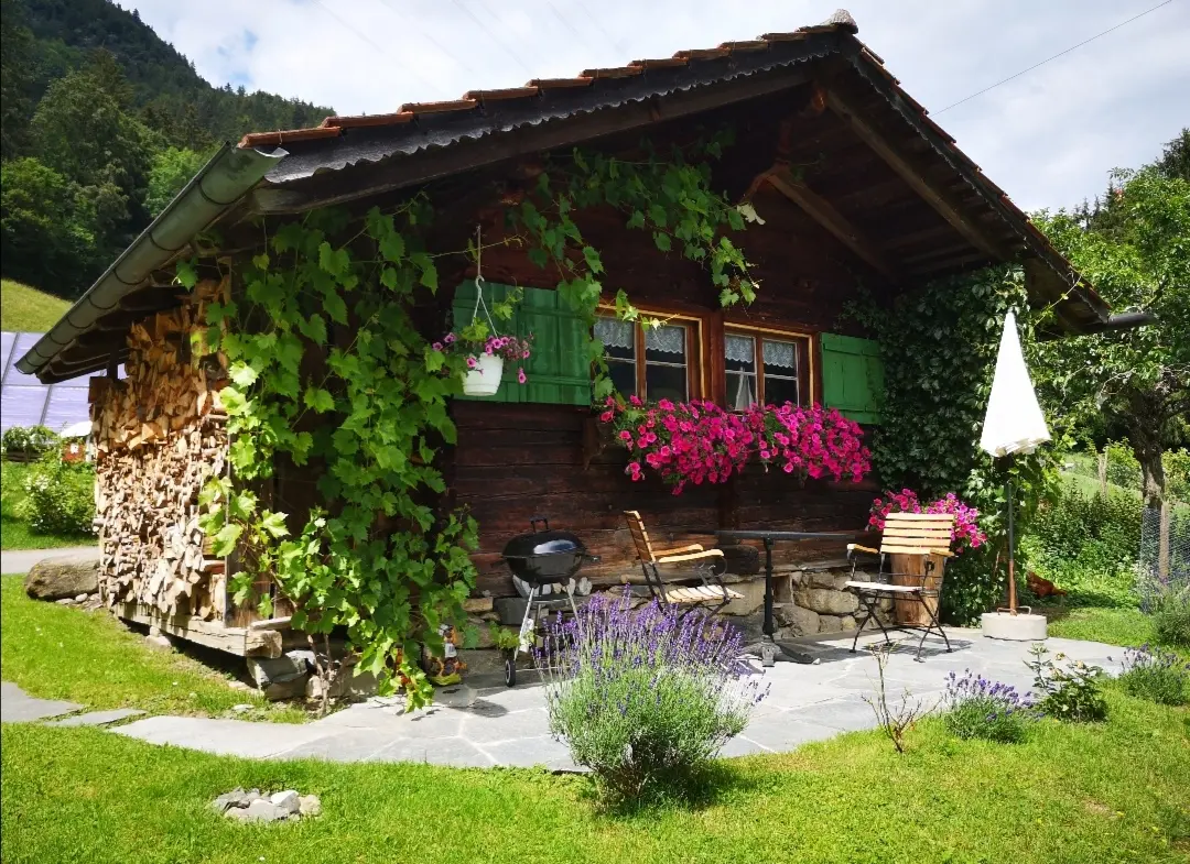 Hütte ∙ 1 Schlafzimmer ∙ 1 Gast - Faulensee