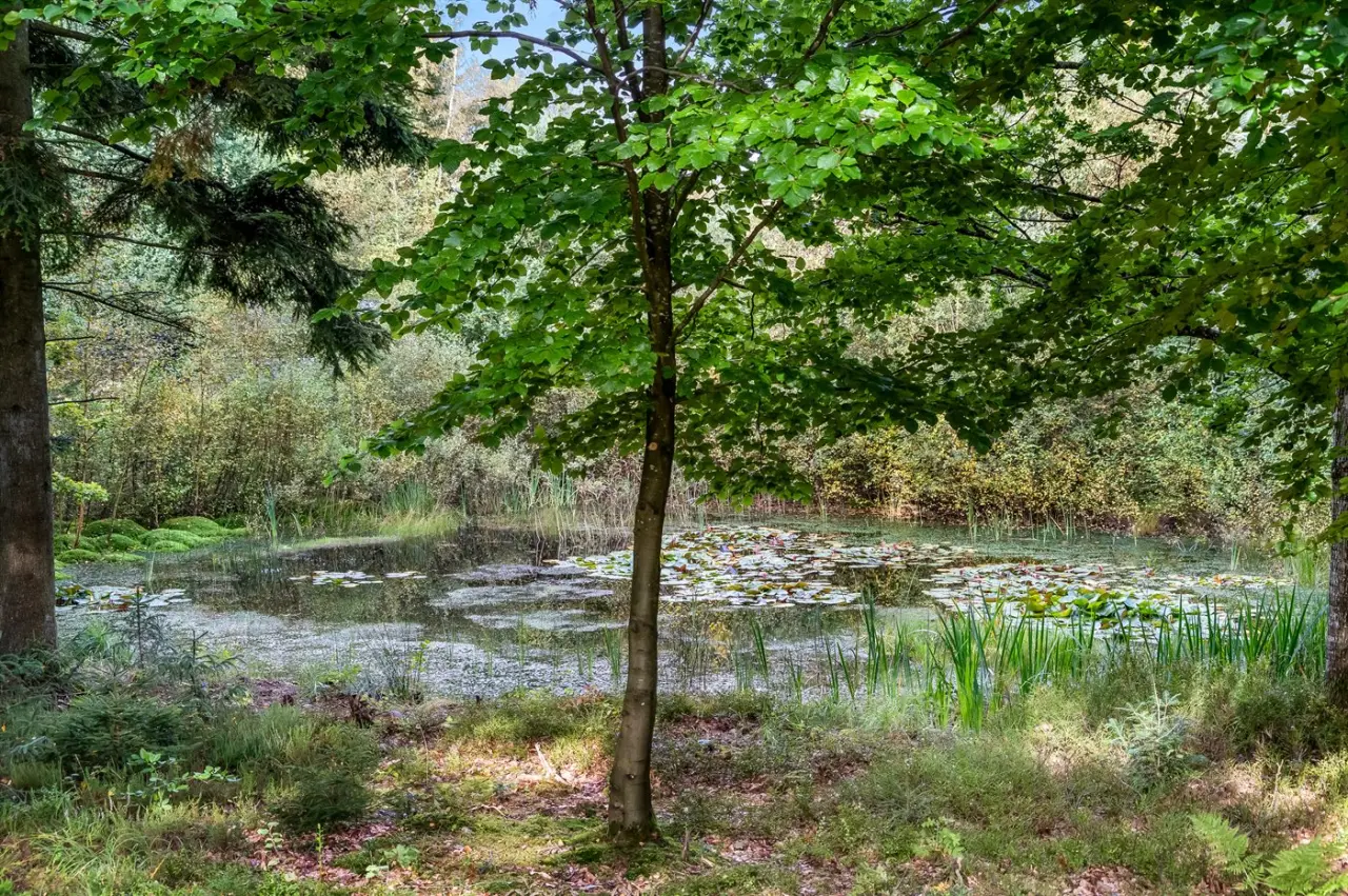 foto24