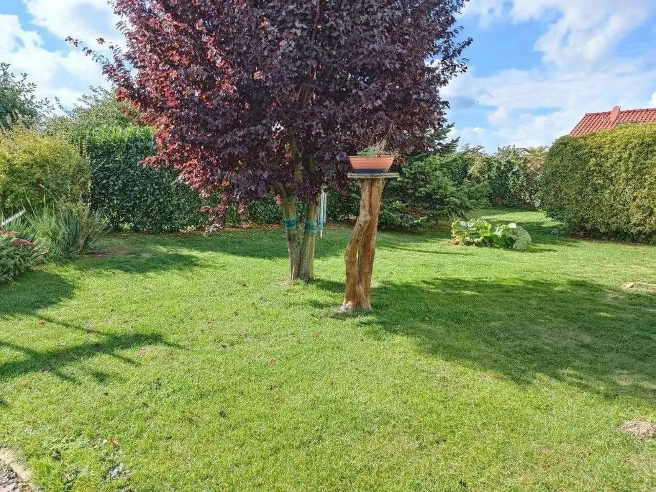 foto15