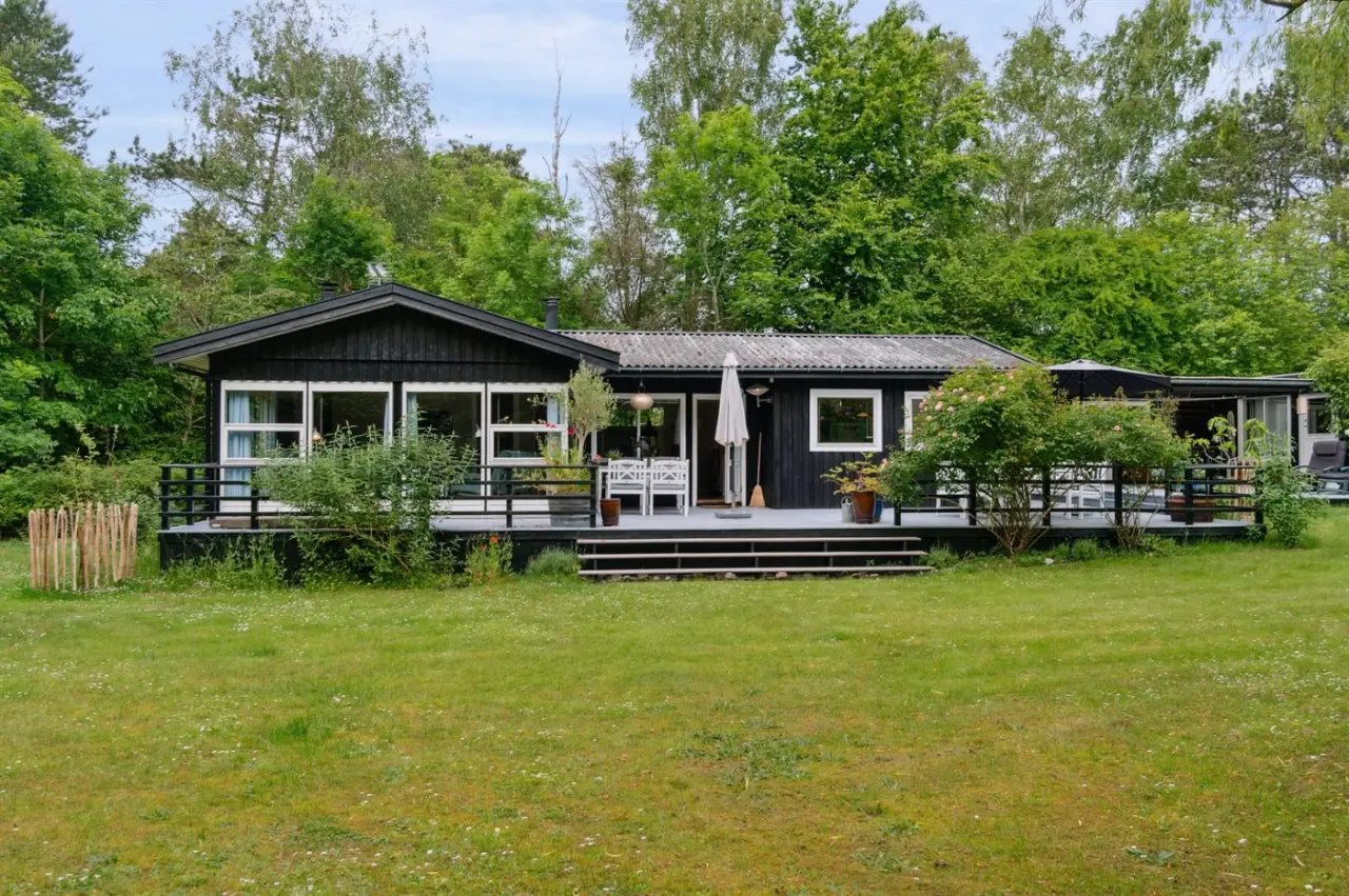 foto1