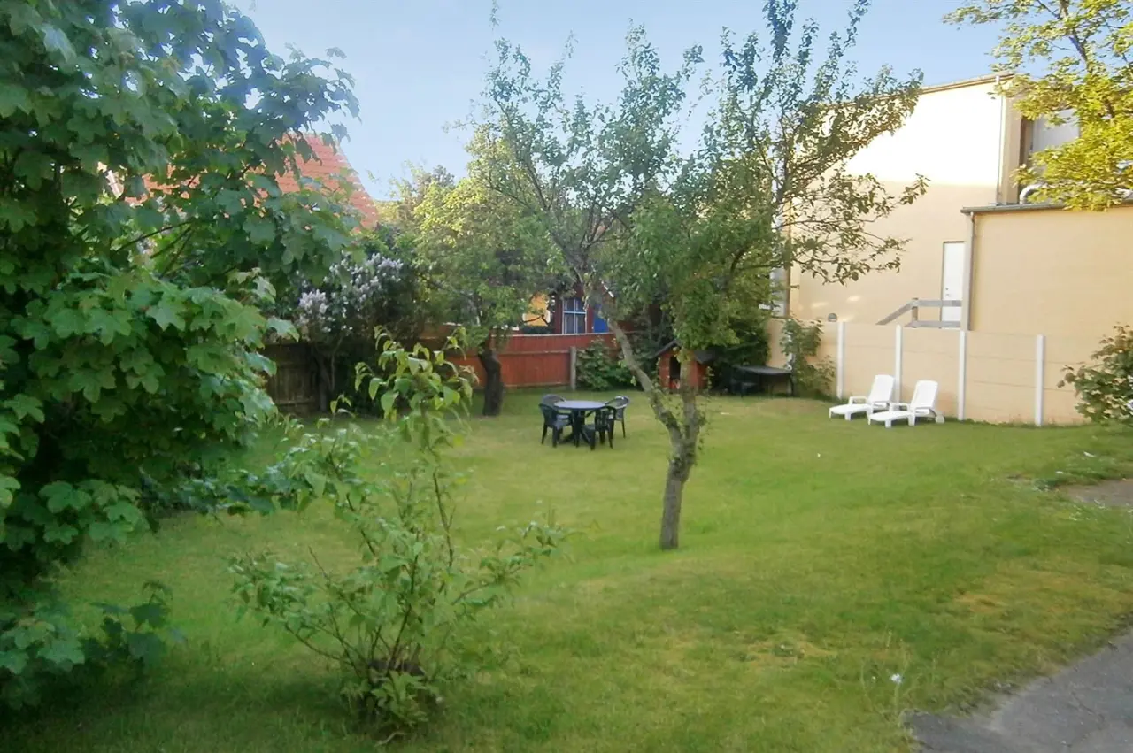 foto1