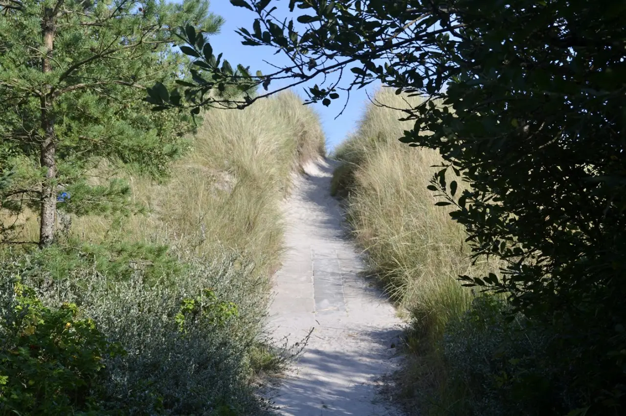 foto30