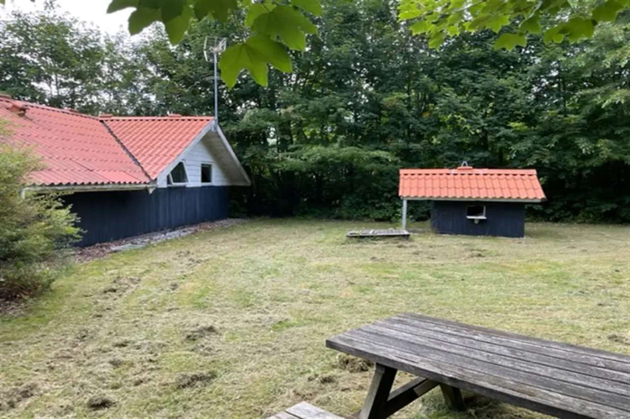 foto15
