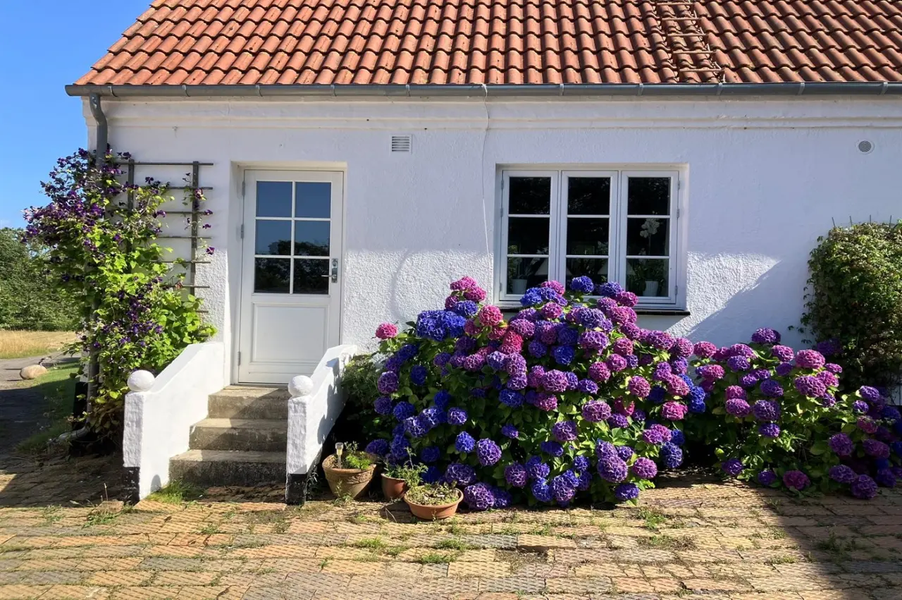 foto17