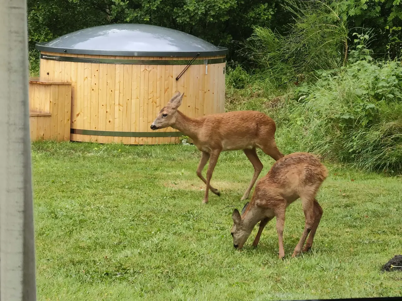 Hyggeligt sommerhus i Hune ved Blokhus