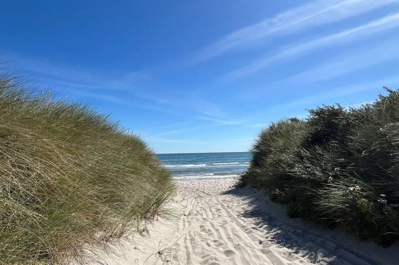 foto26