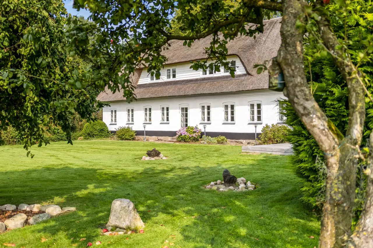 foto29