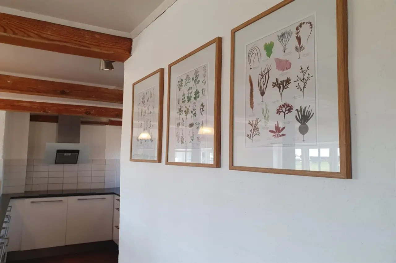 foto48