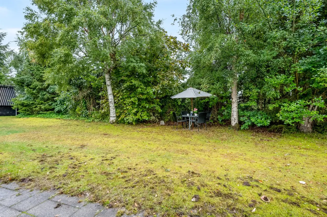 foto35