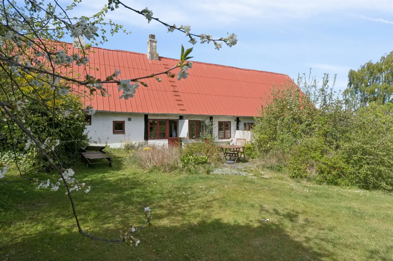 foto20