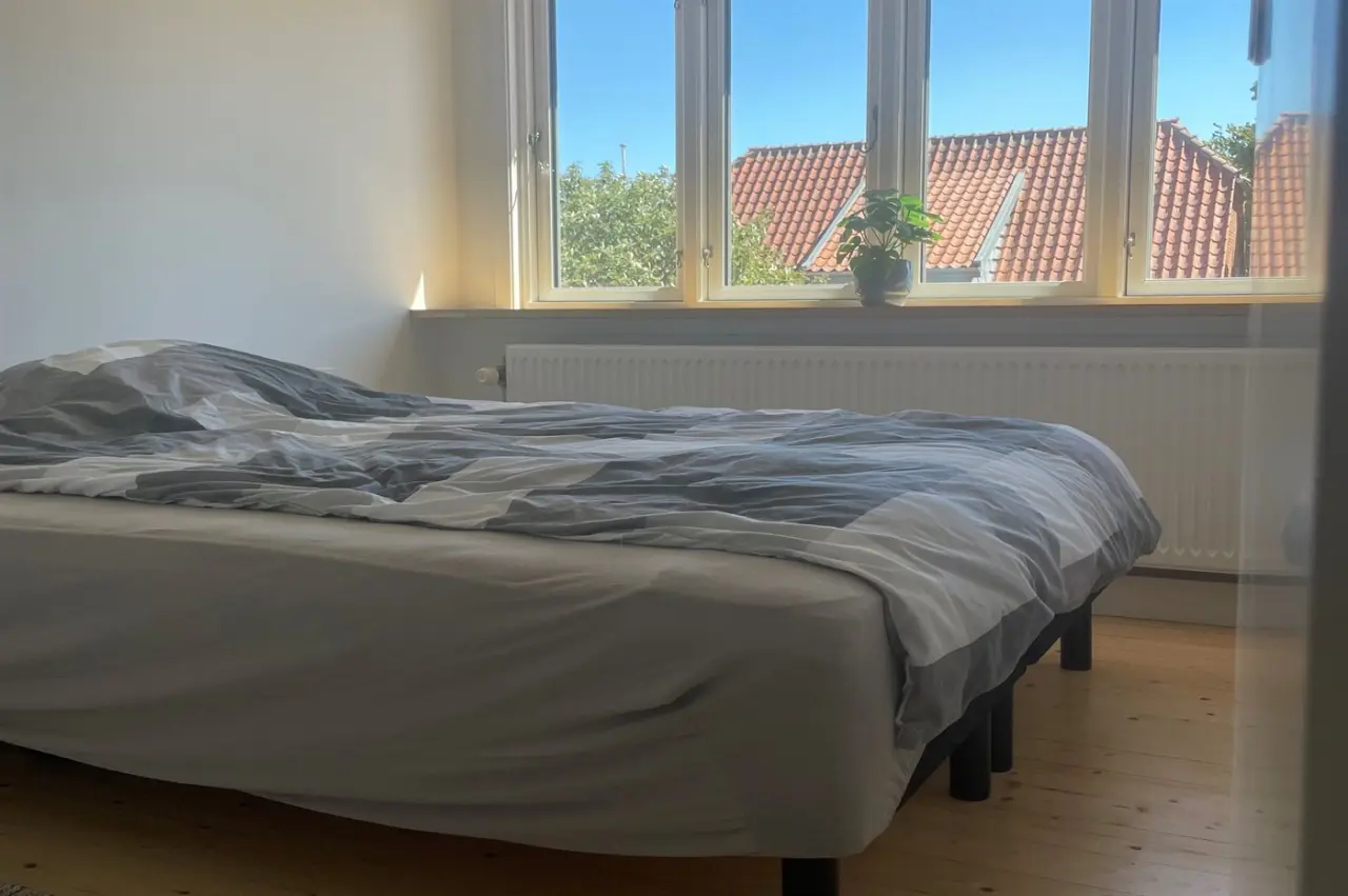 foto4