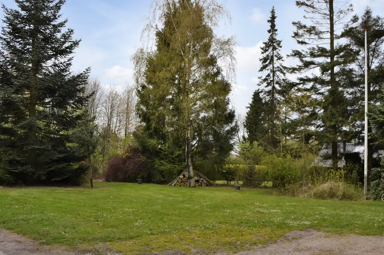 foto17