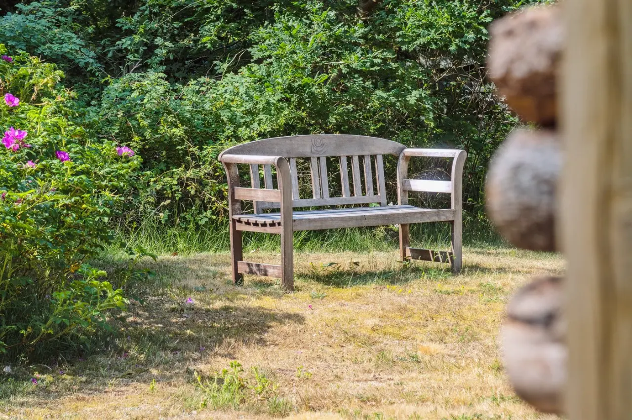 foto21