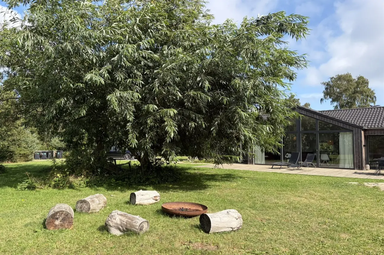 foto23
