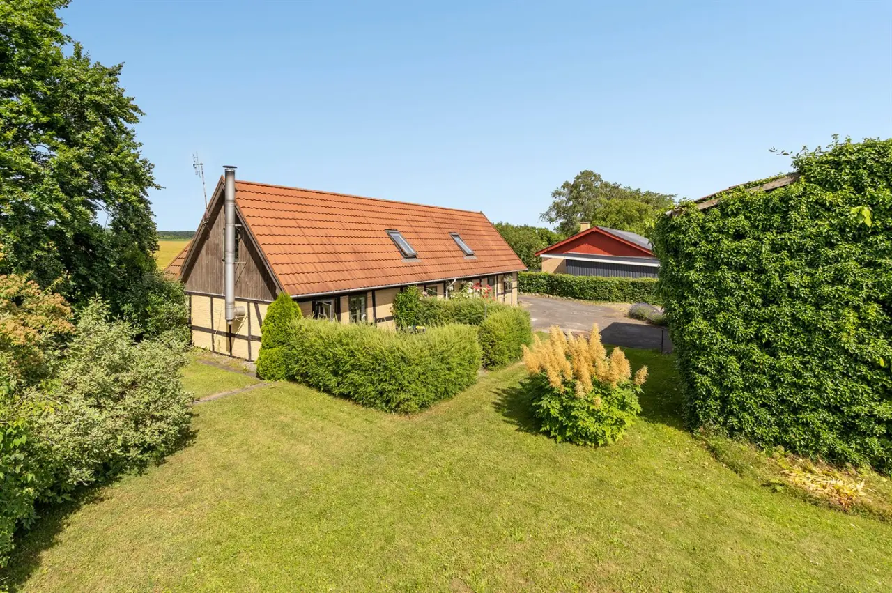 foto4