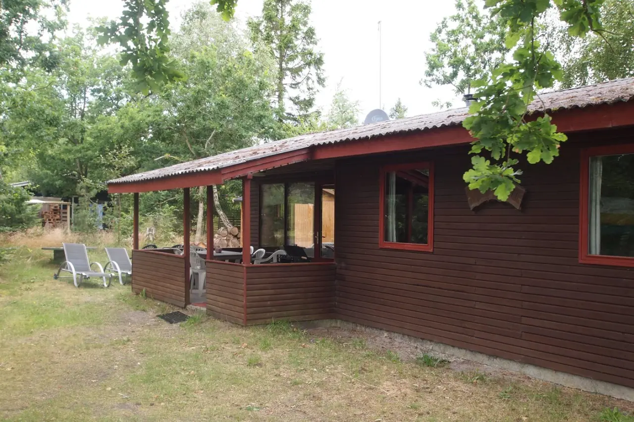 foto12