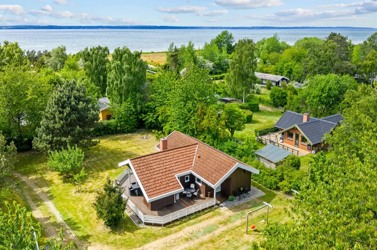 foto1