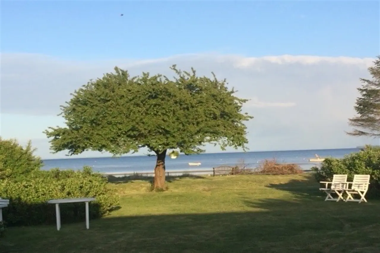 foto9