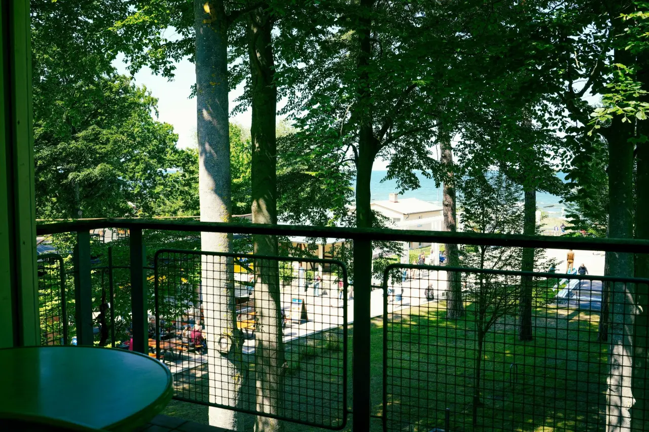 foto19
