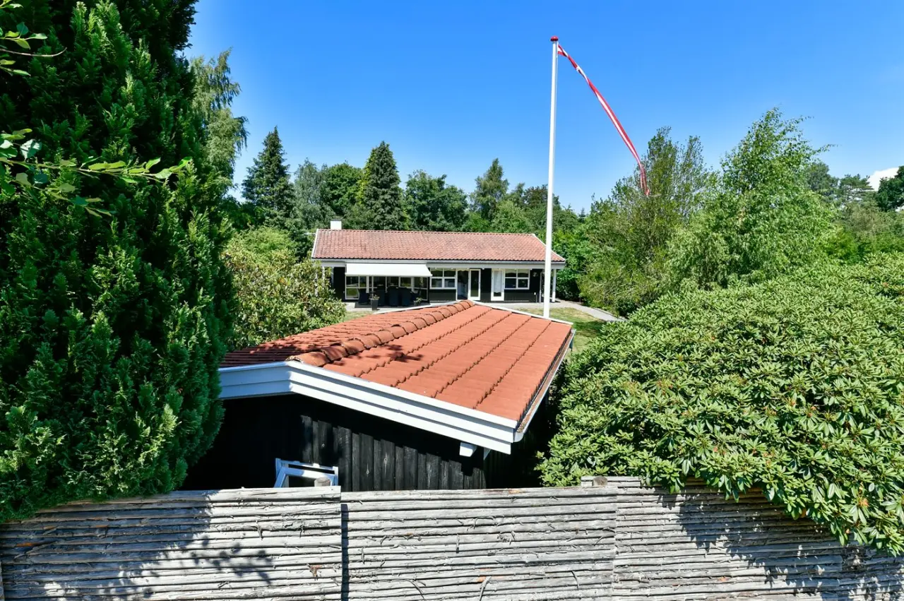 foto1
