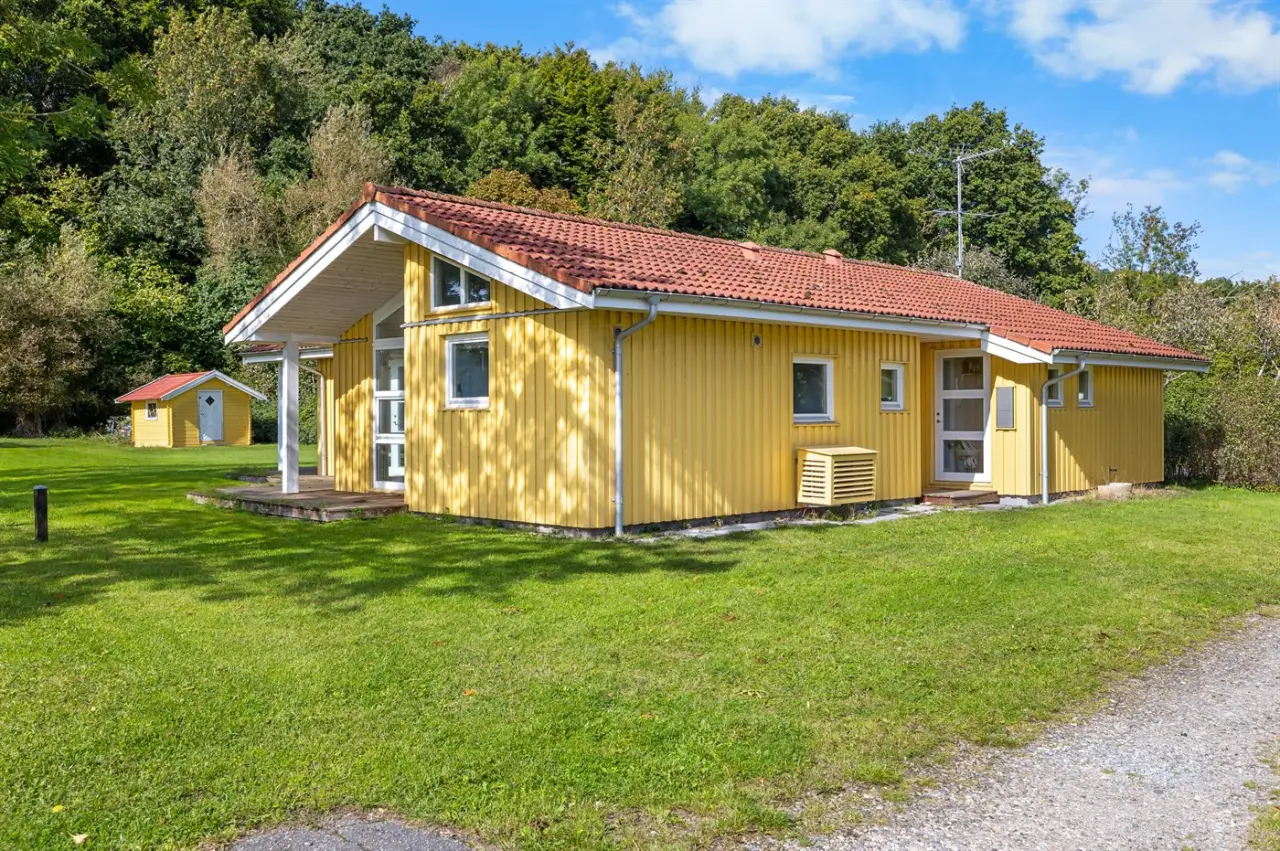 foto2