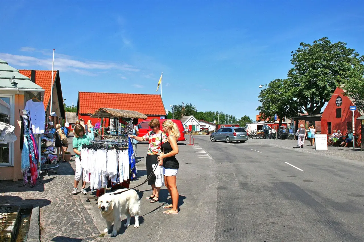 foto4