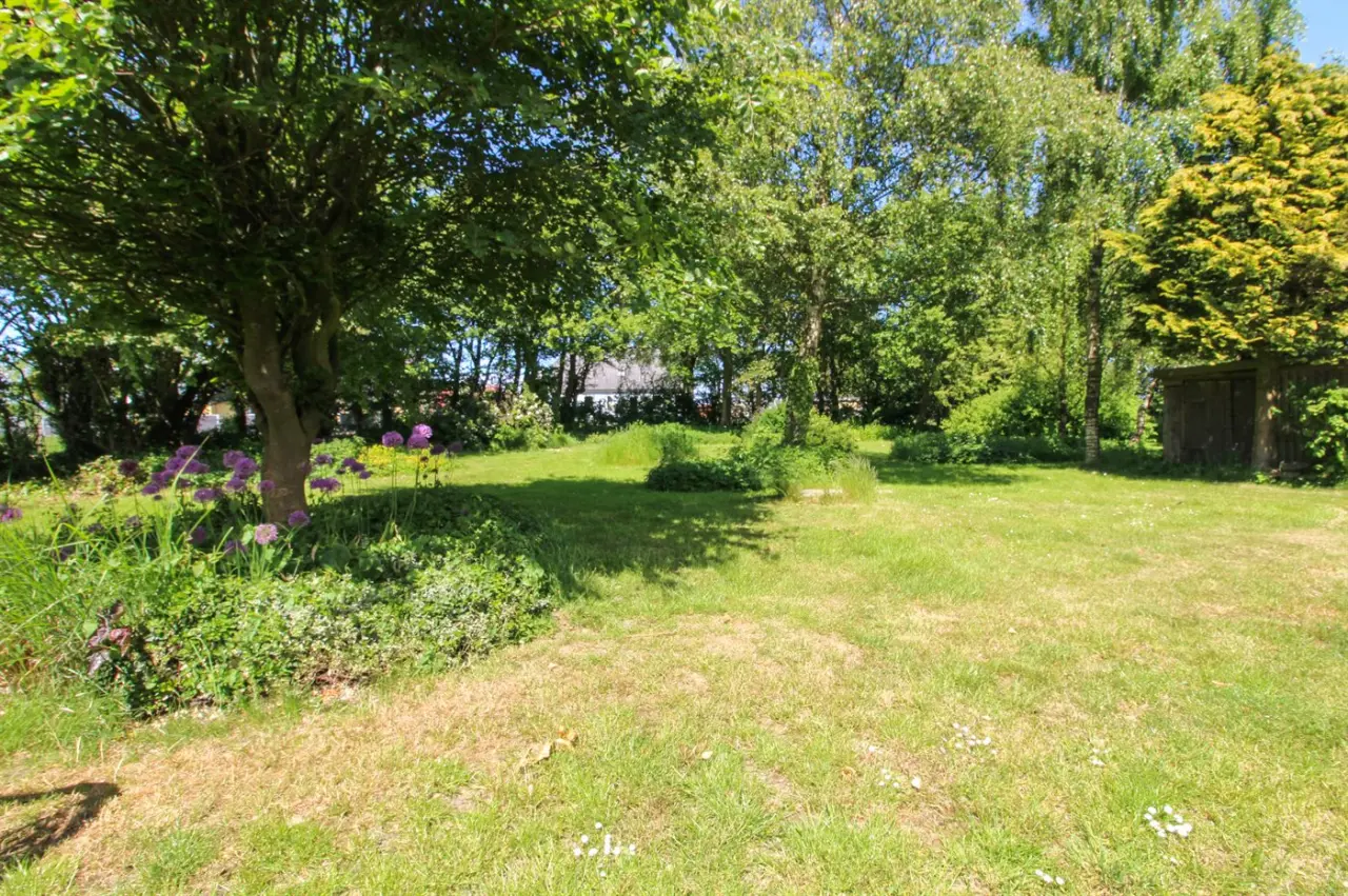 foto21