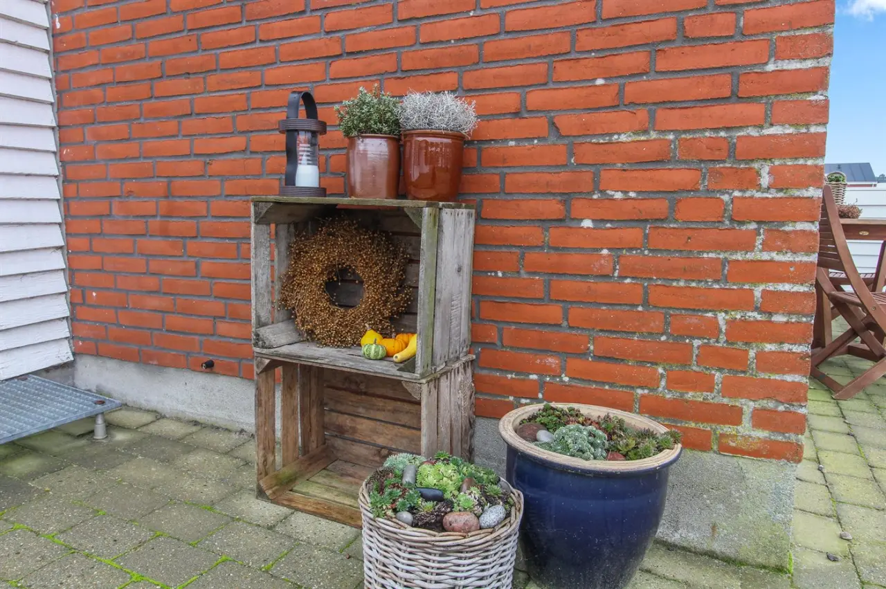 foto20
