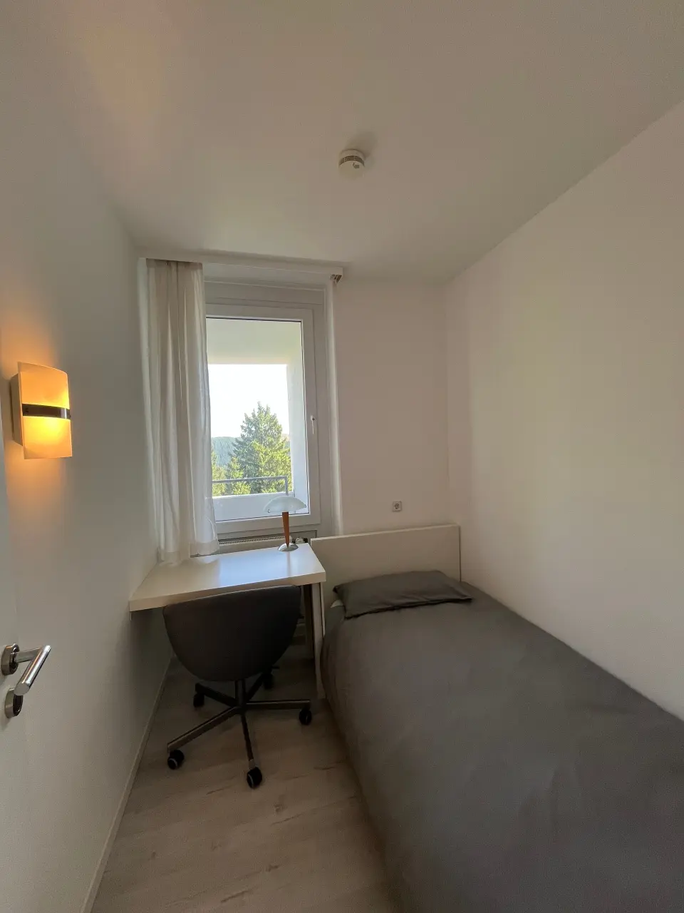 foto11