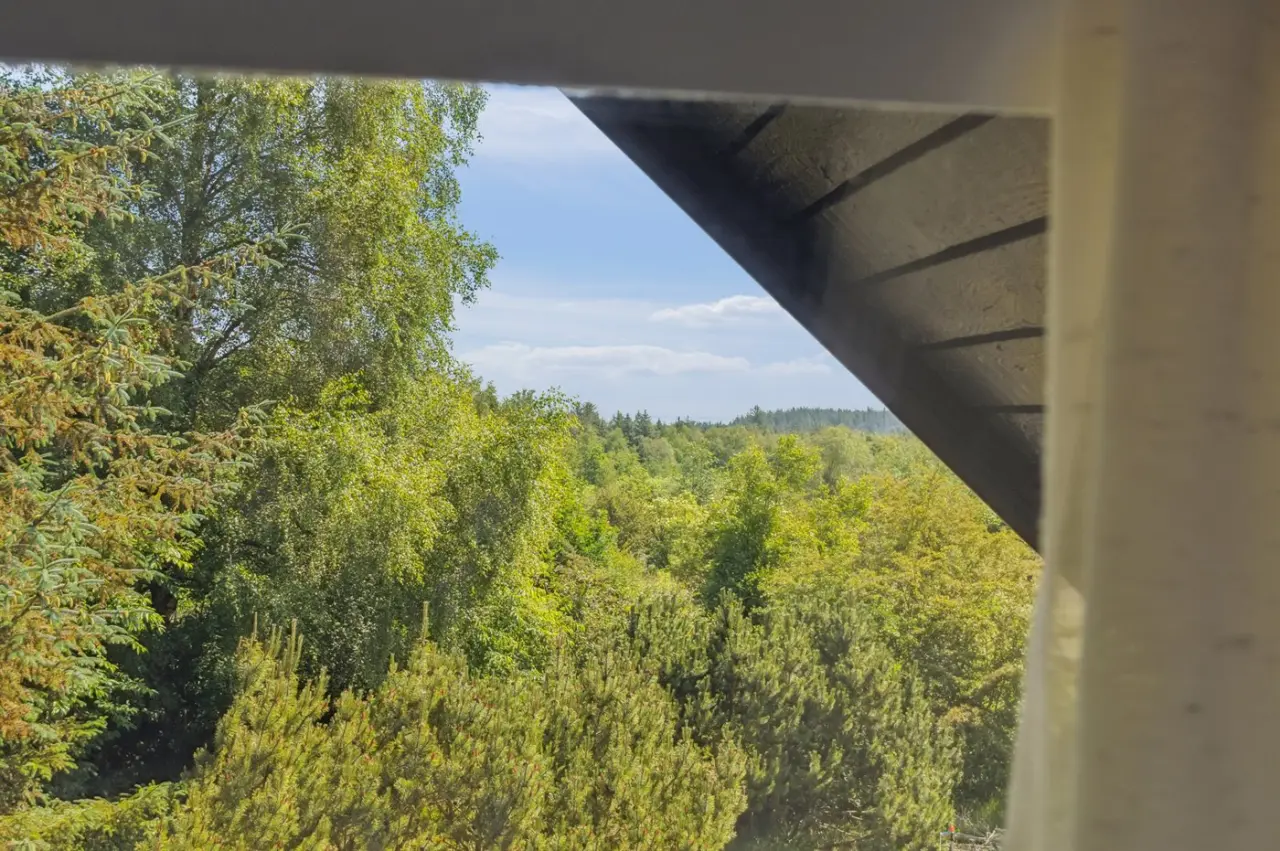 foto12