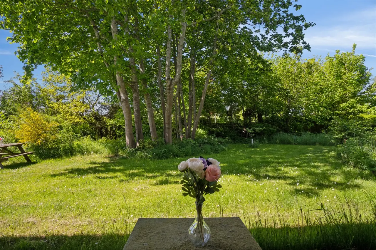 foto16