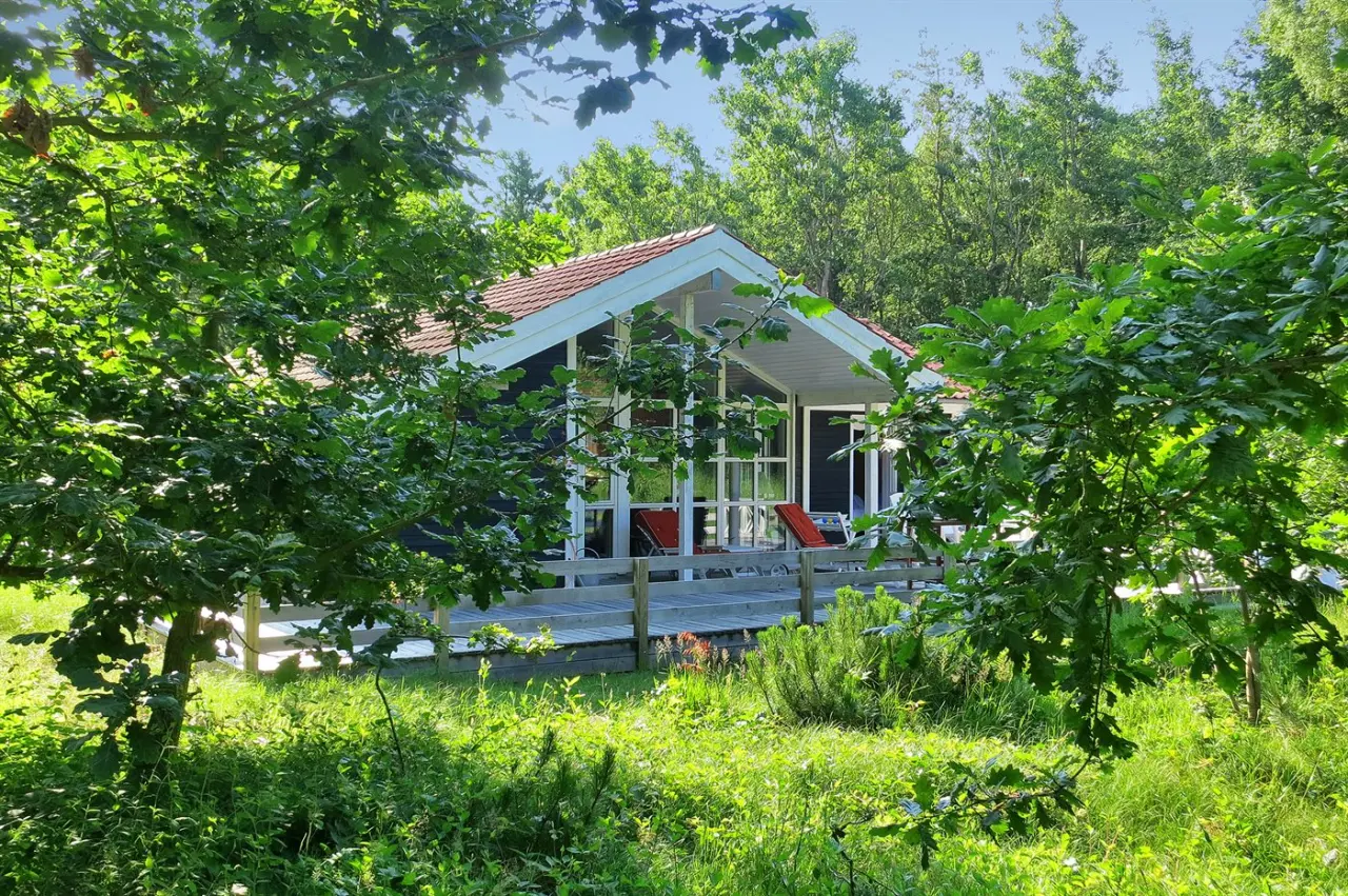 foto1