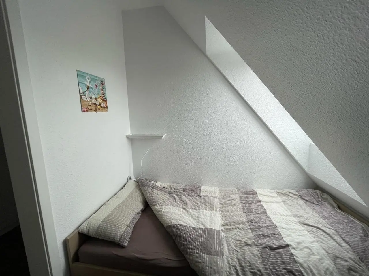 foto19