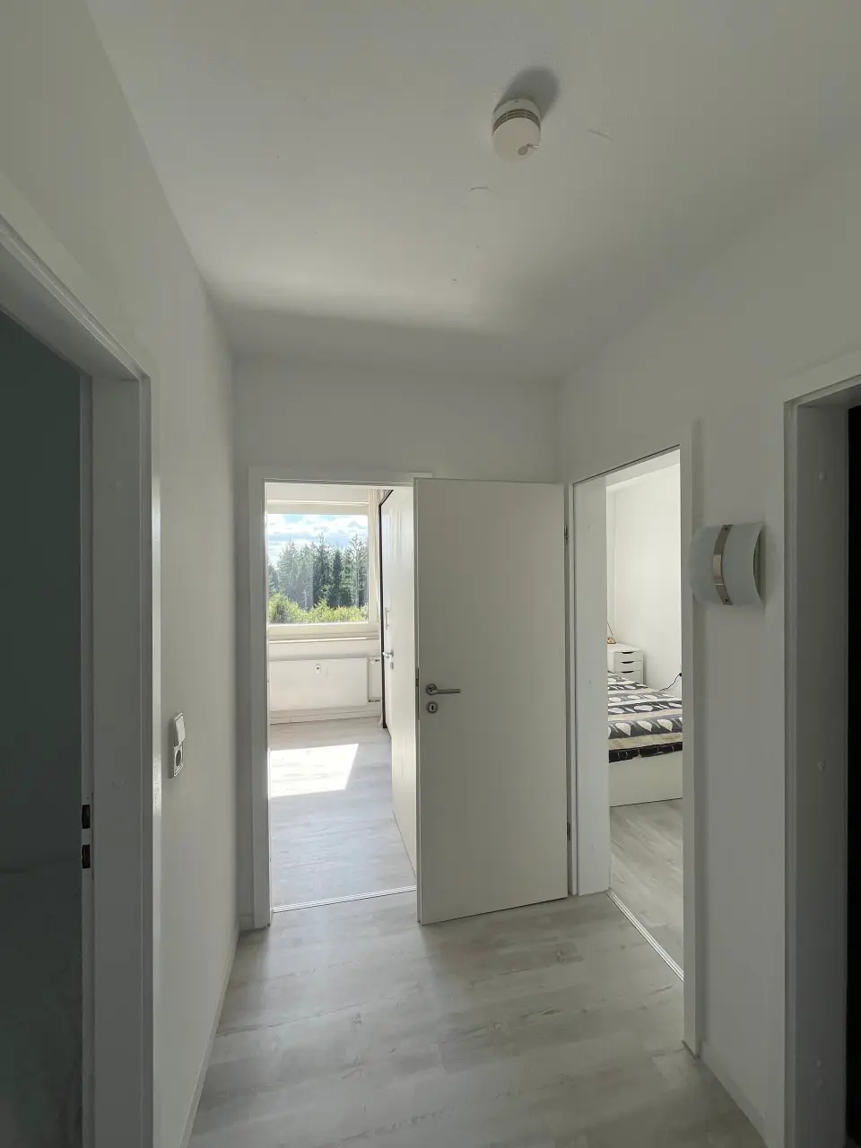 foto5