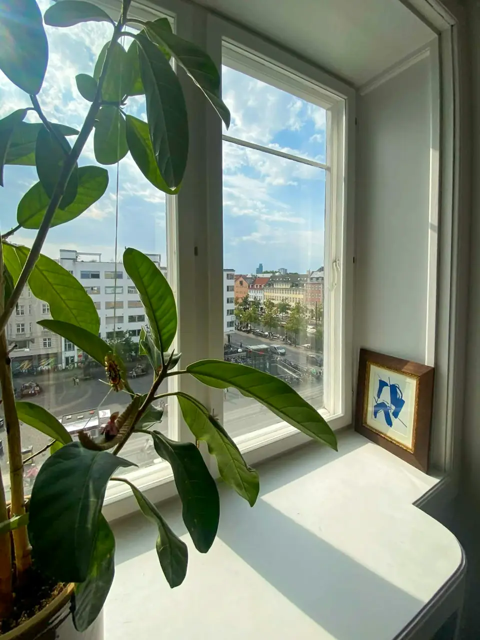 Lysfyldt lejlighed med udsigt på Christianshavn