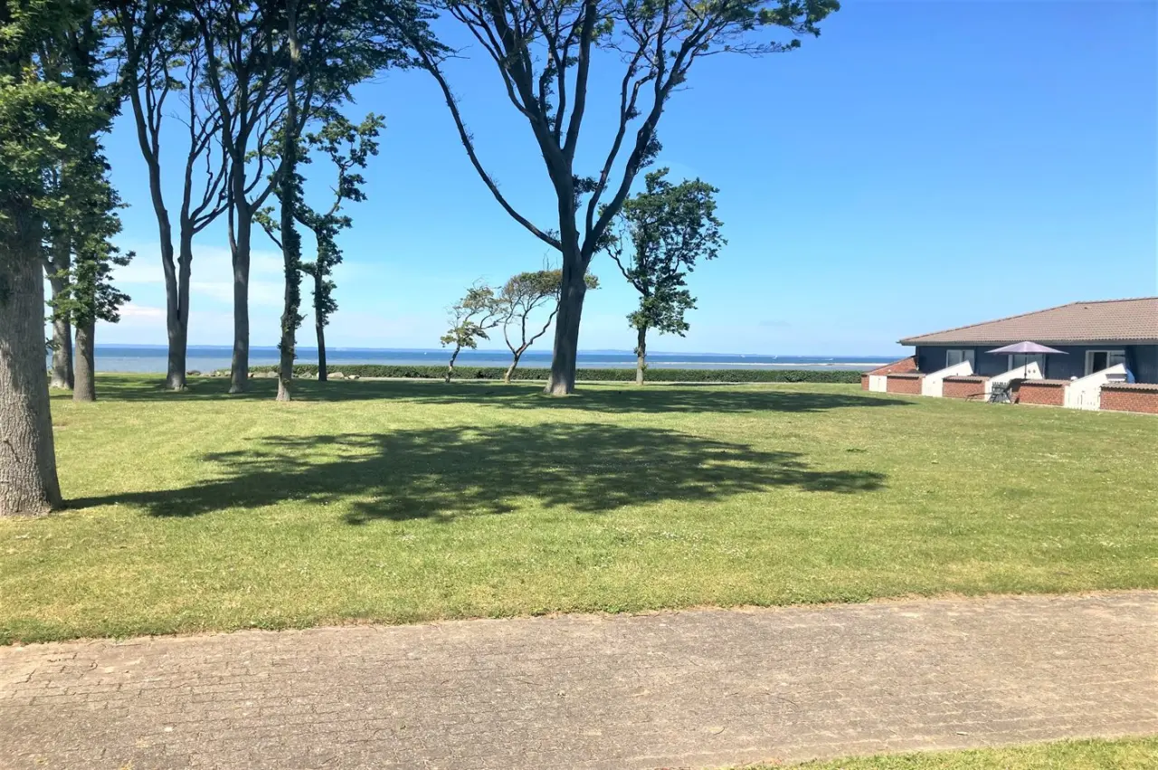 foto15