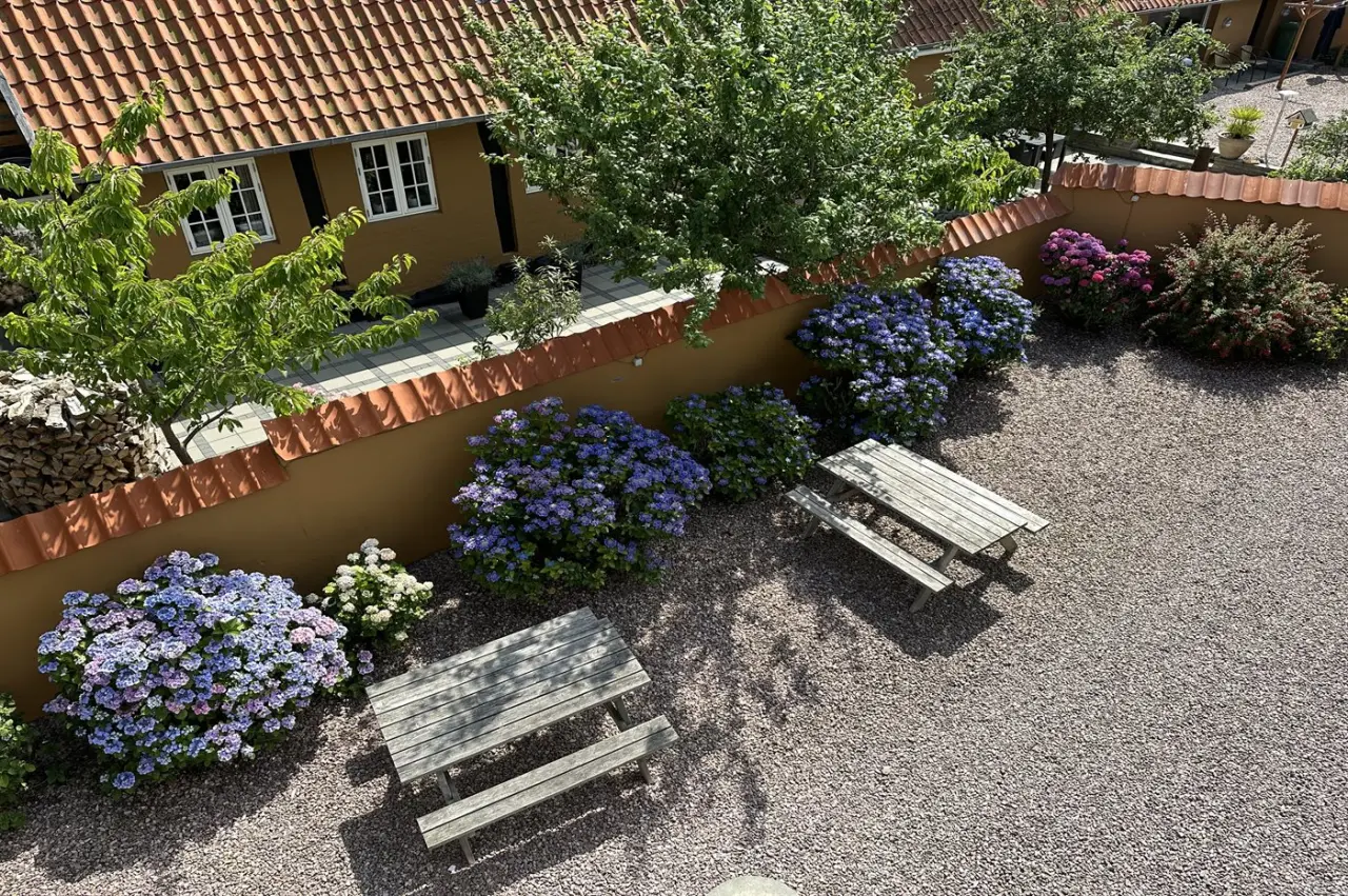 foto4