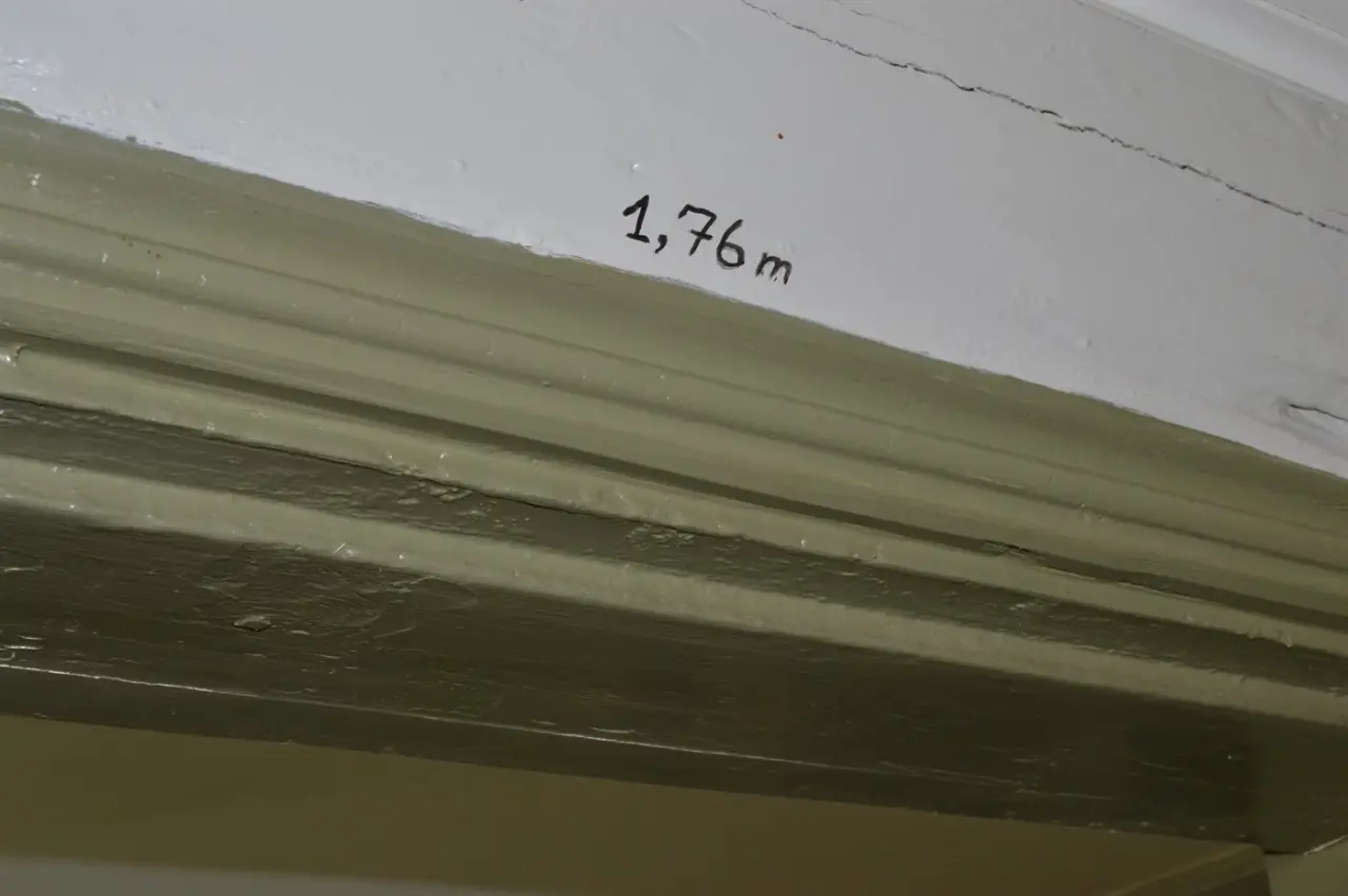 foto19