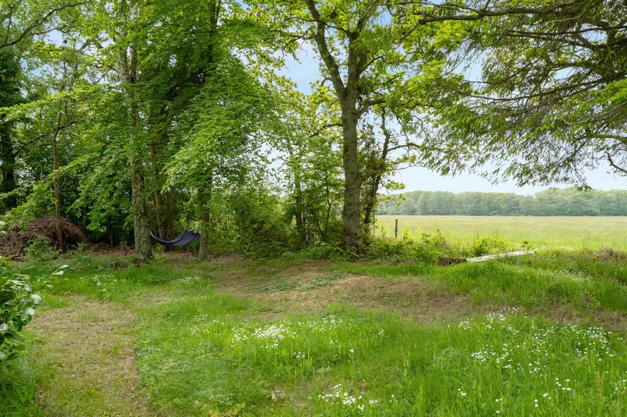 foto18