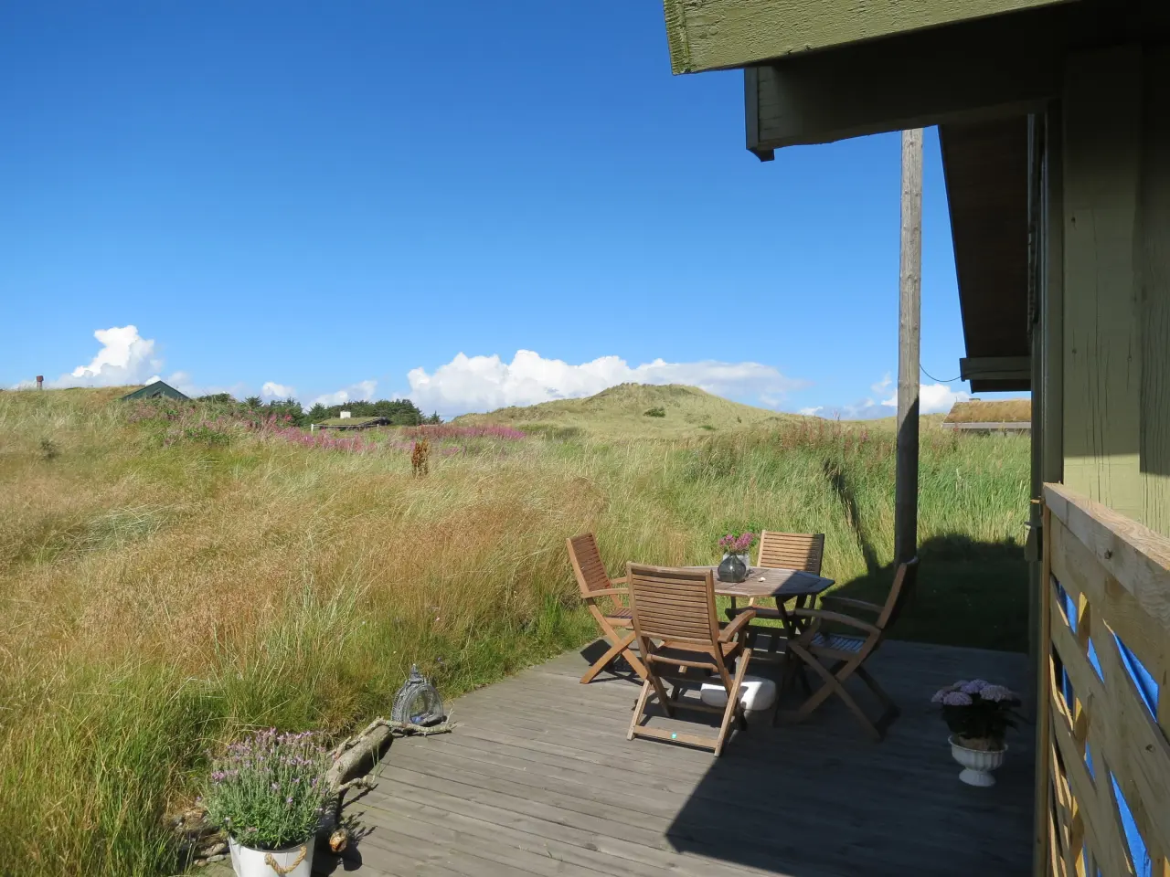 Naturskønt sommerhus i Skagen
