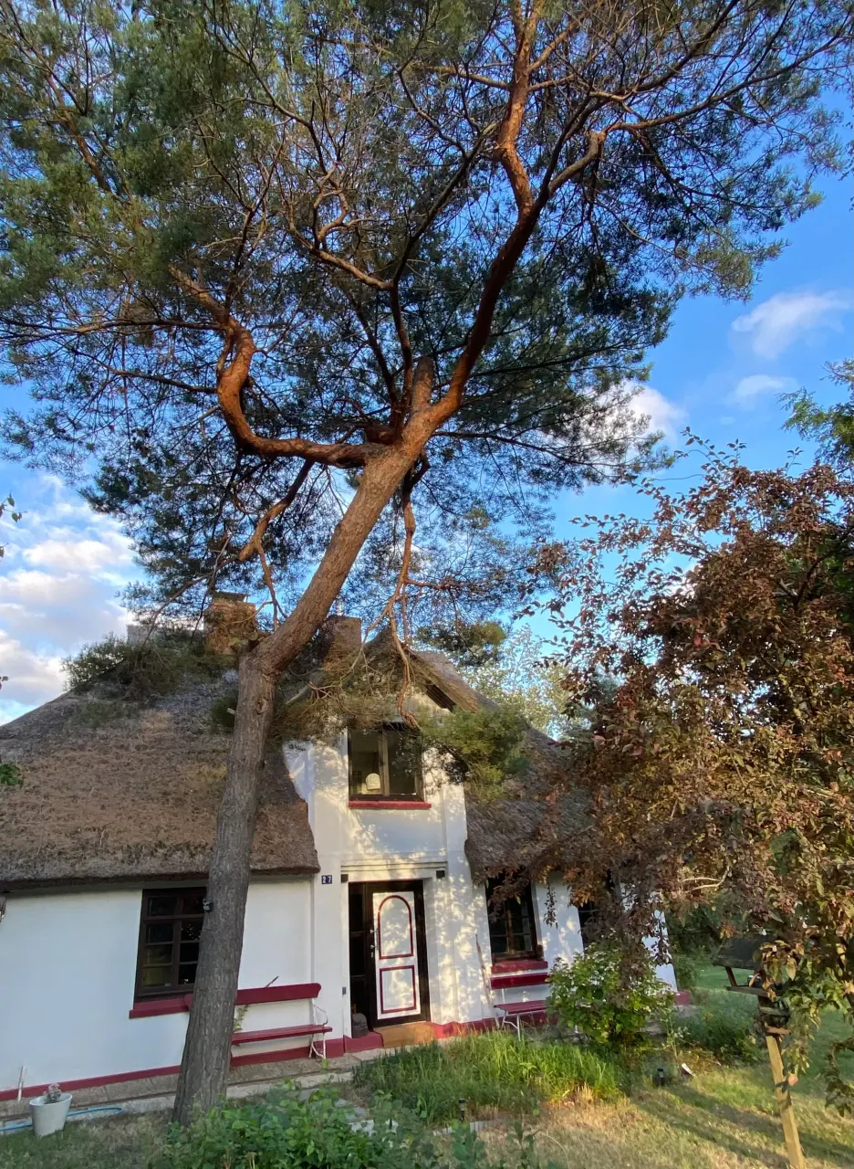 foto2