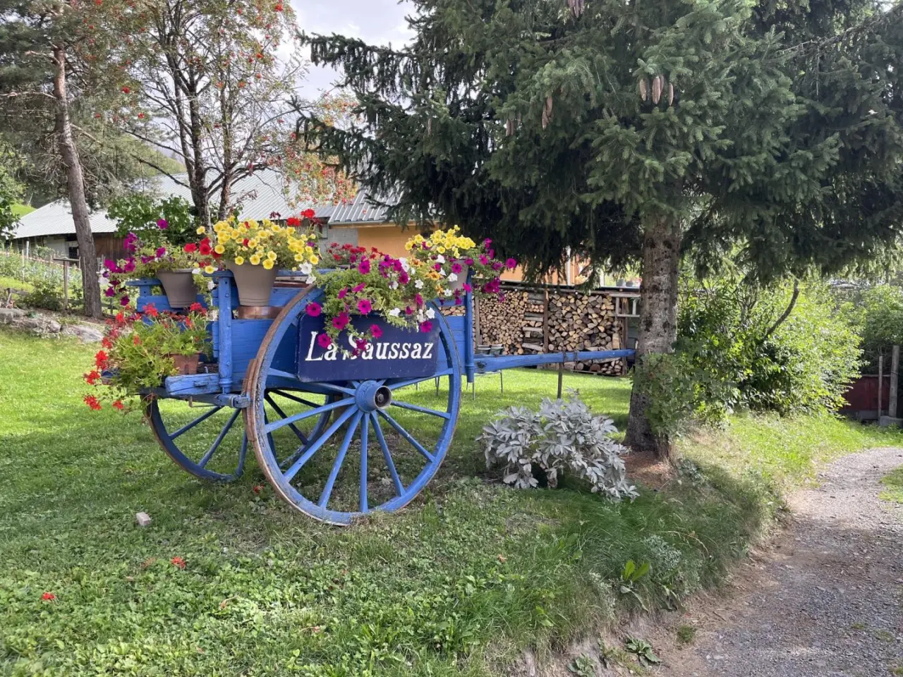 foto29