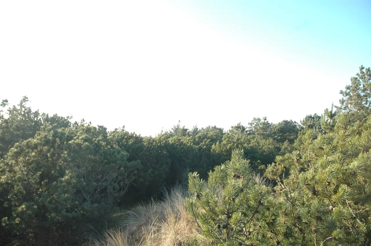 foto15