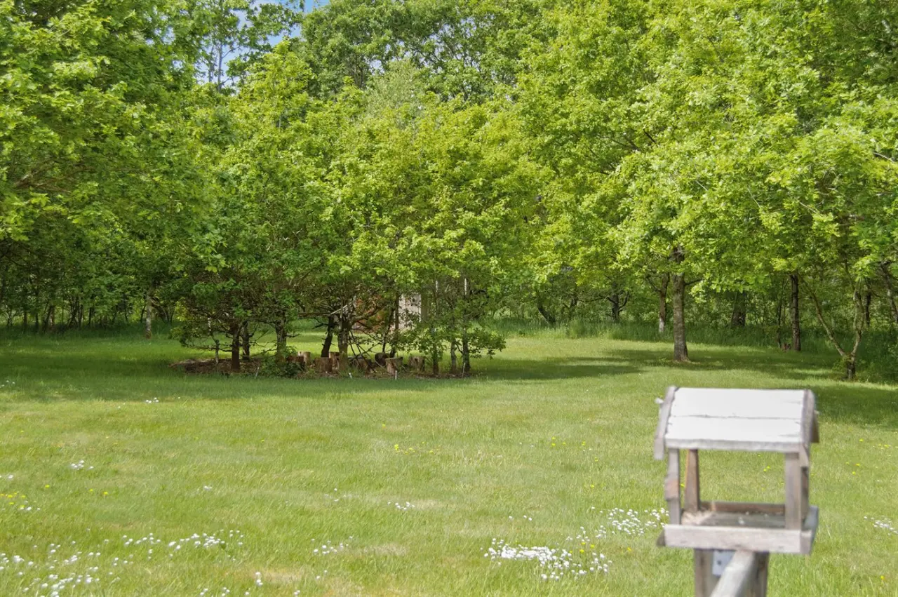 foto17