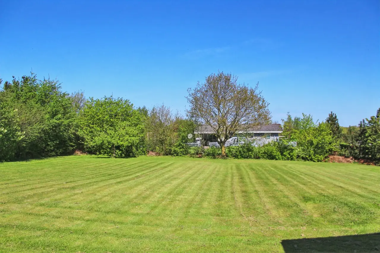 foto15
